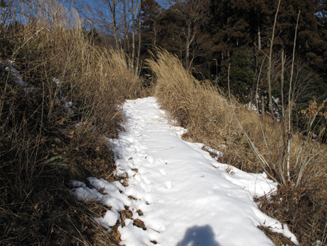 20180126hike (271)